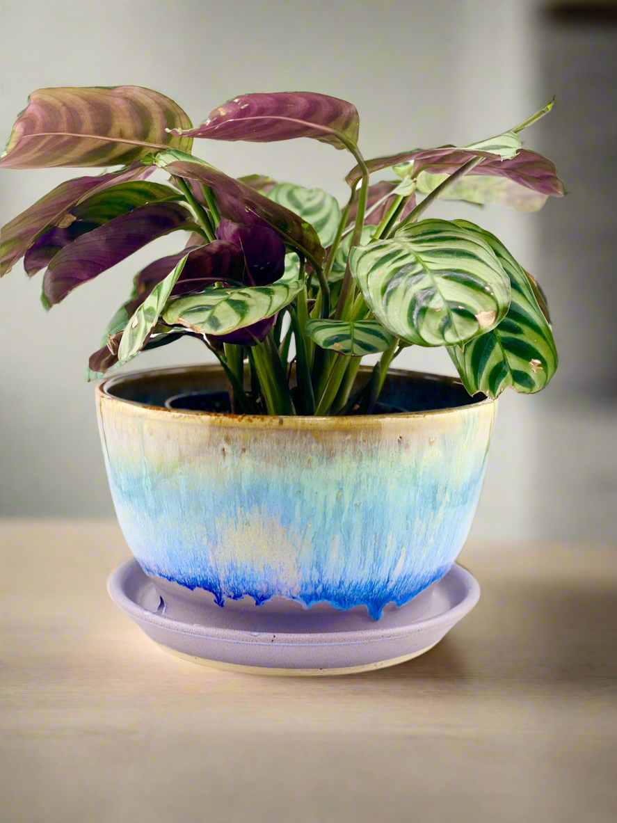 Planter with Saucer and Drain Holes, 4”ht x 6.5”w