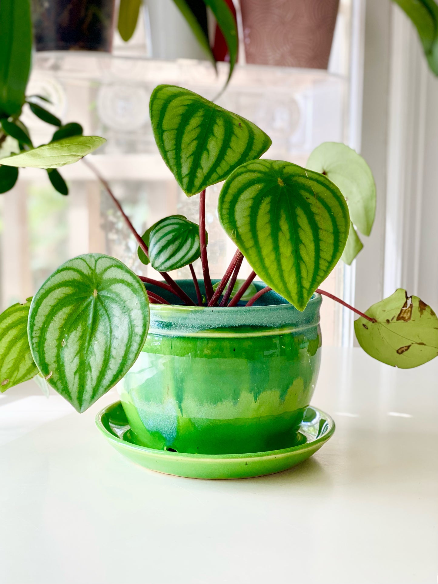 Green Opal Planter, 6”x4.5”