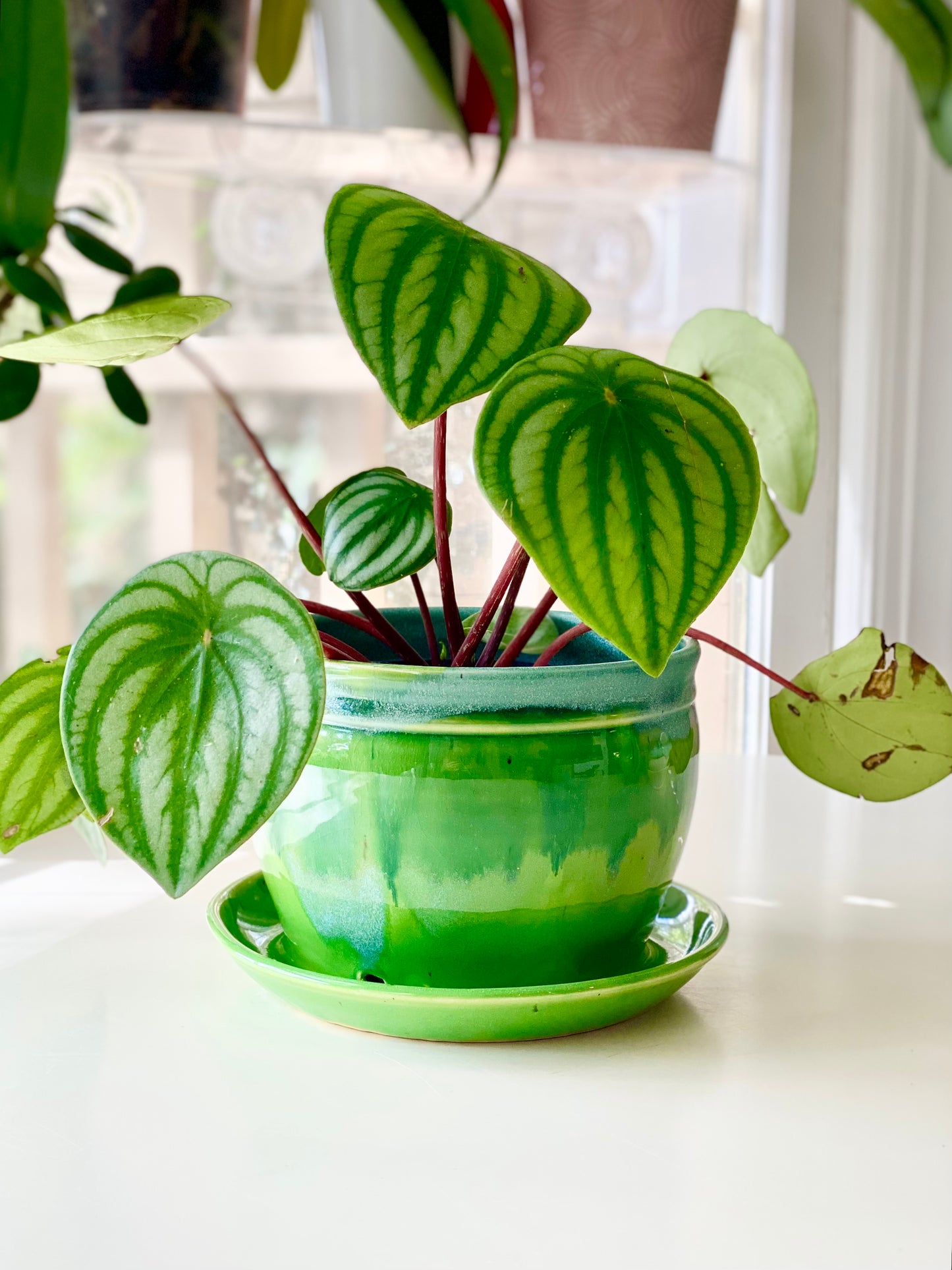Green Opal Planter, 6”x4.5”