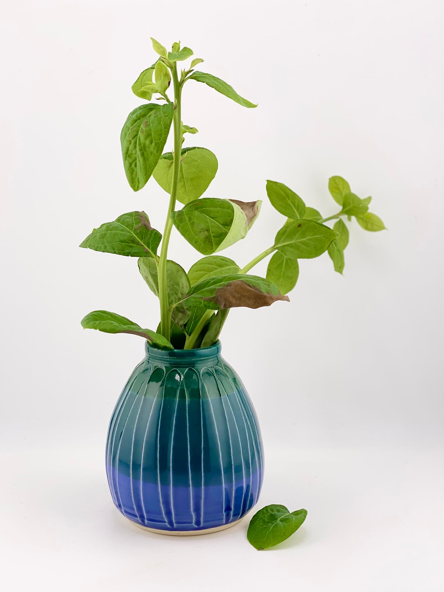 Bud Vase, 4” no.35
