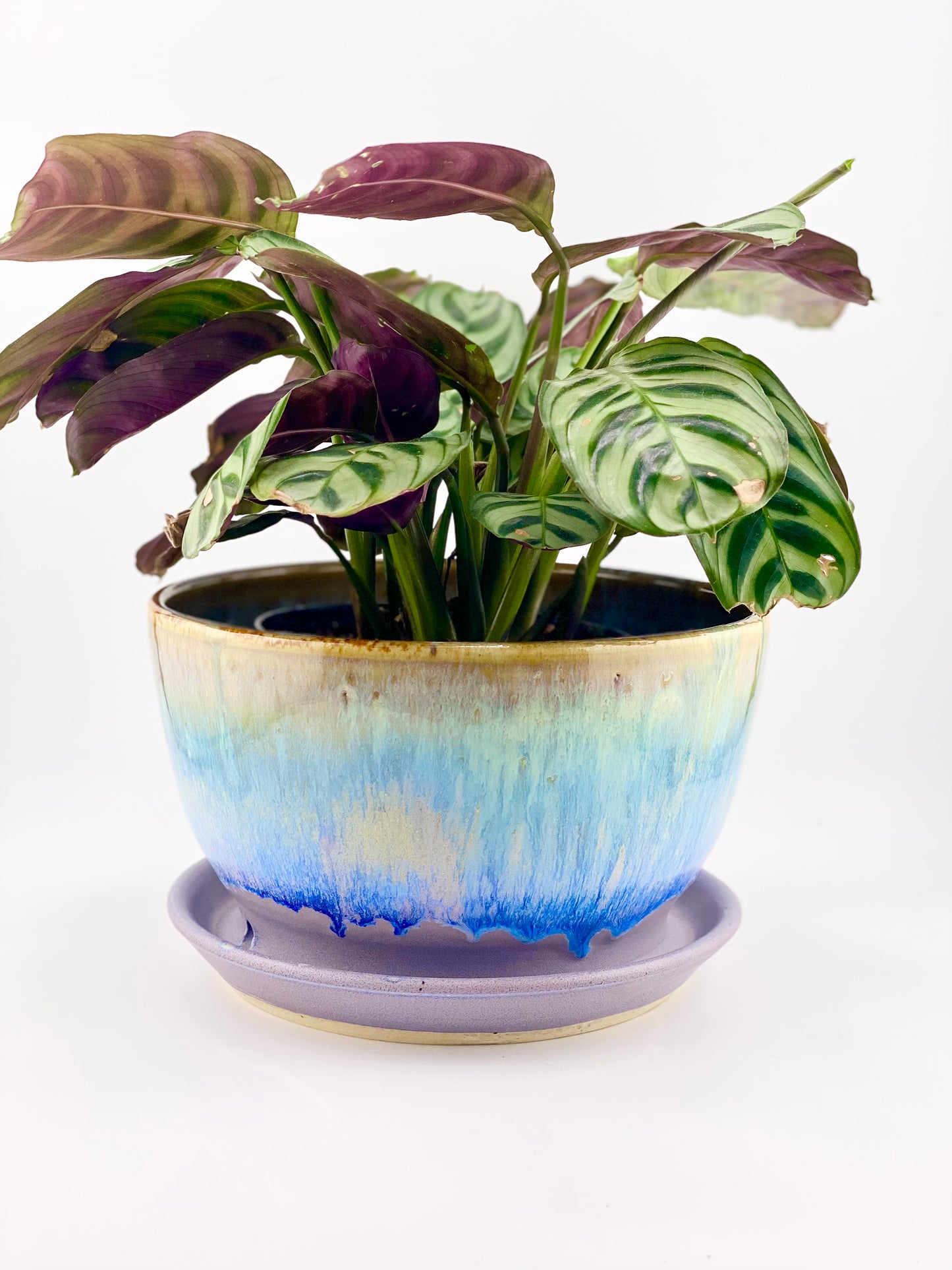 Planter with Saucer and Drain Holes, 4”ht x 6.5”w
